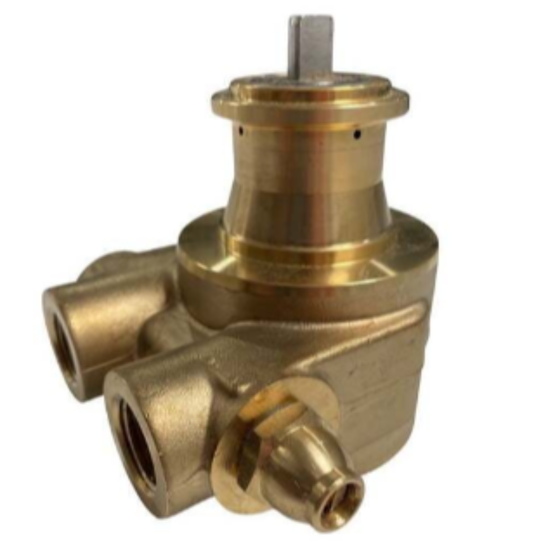 1/2" Brass Rotary Vane Processing Pump - 801 Series shopgoh2o